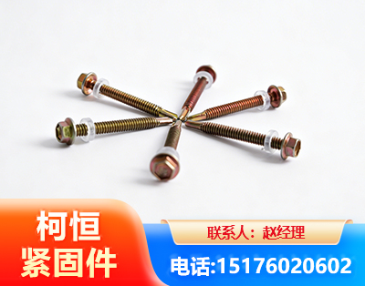 广安六角钻尾丝